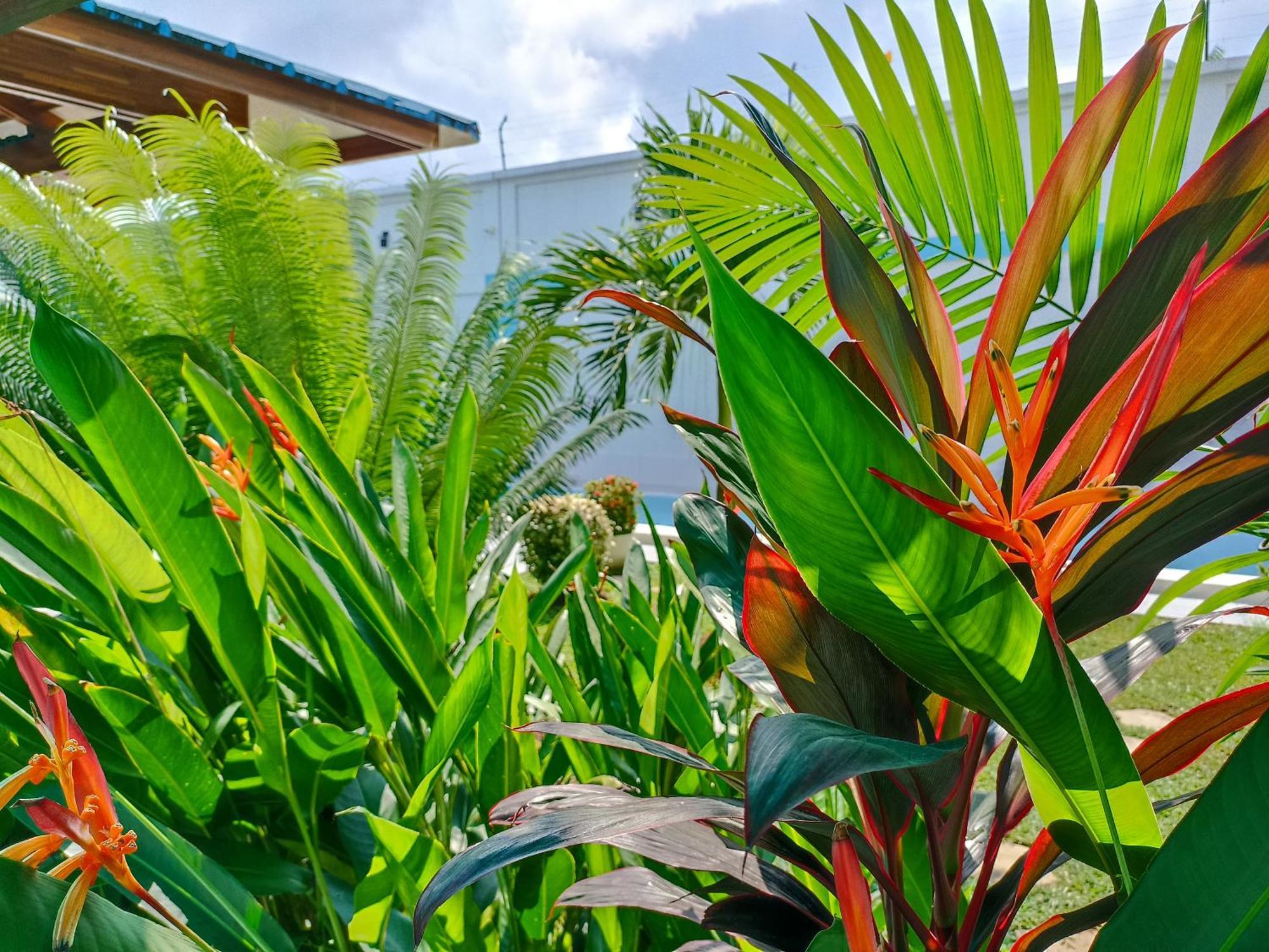 Morona Flats & Pool - 70 M2 Apartment Iquitos Exterior photo